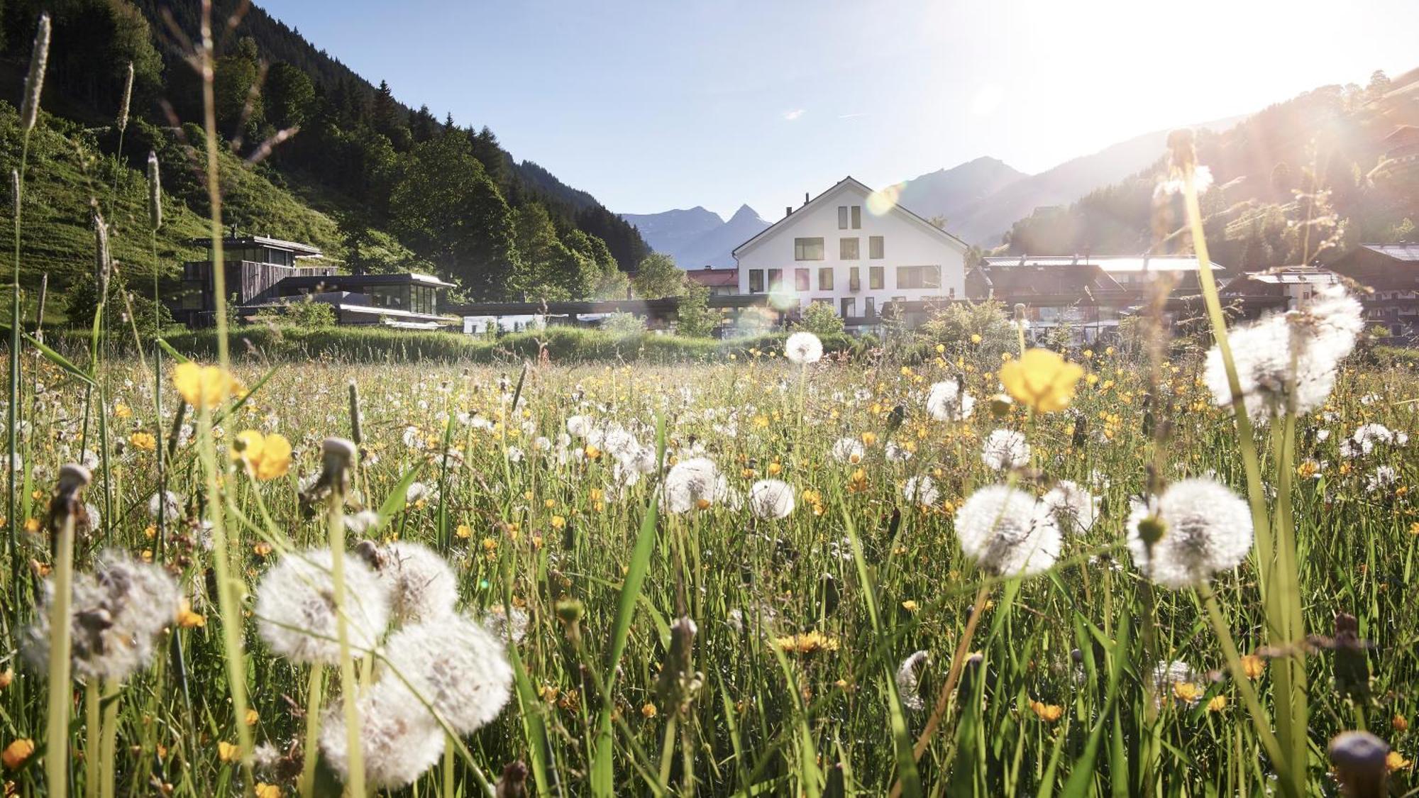 Wiesergut Saalbach-Hinterglemm Kültér fotó